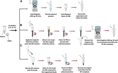 Protocols for isolation and characterization of nanoparticle biomolecular corona complexes